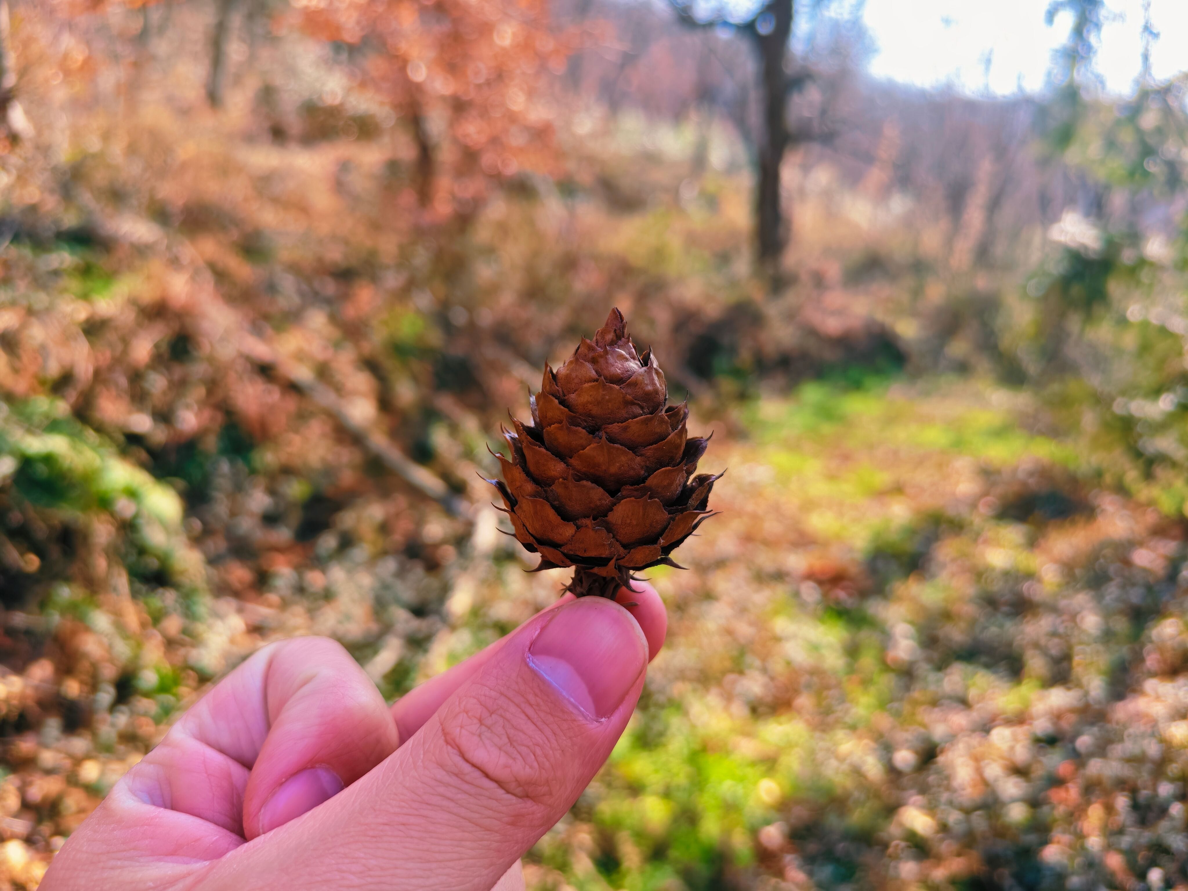 IMG_20260219_144837_edit_60137