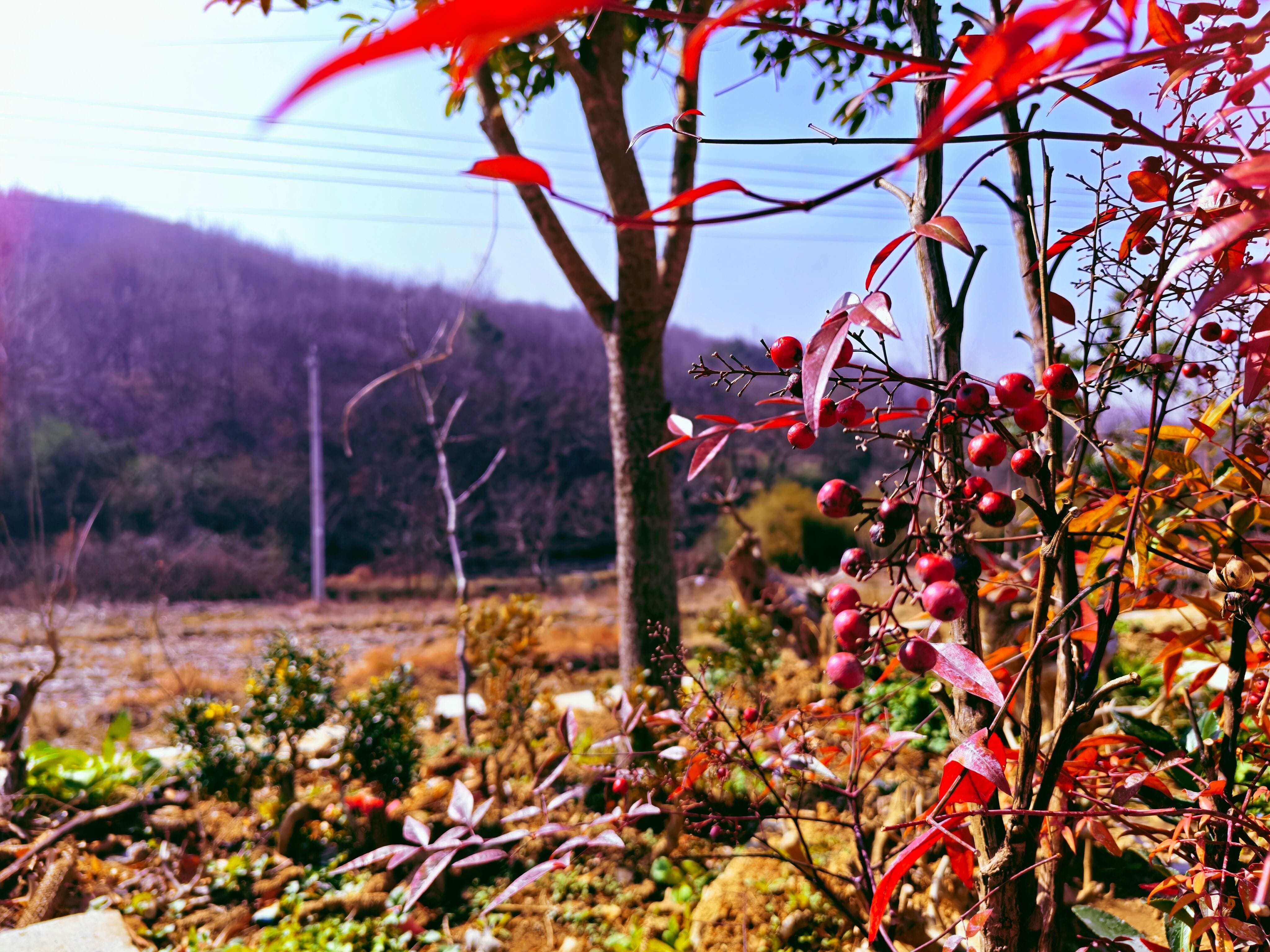 IMG_20260220_110538_edit_42743