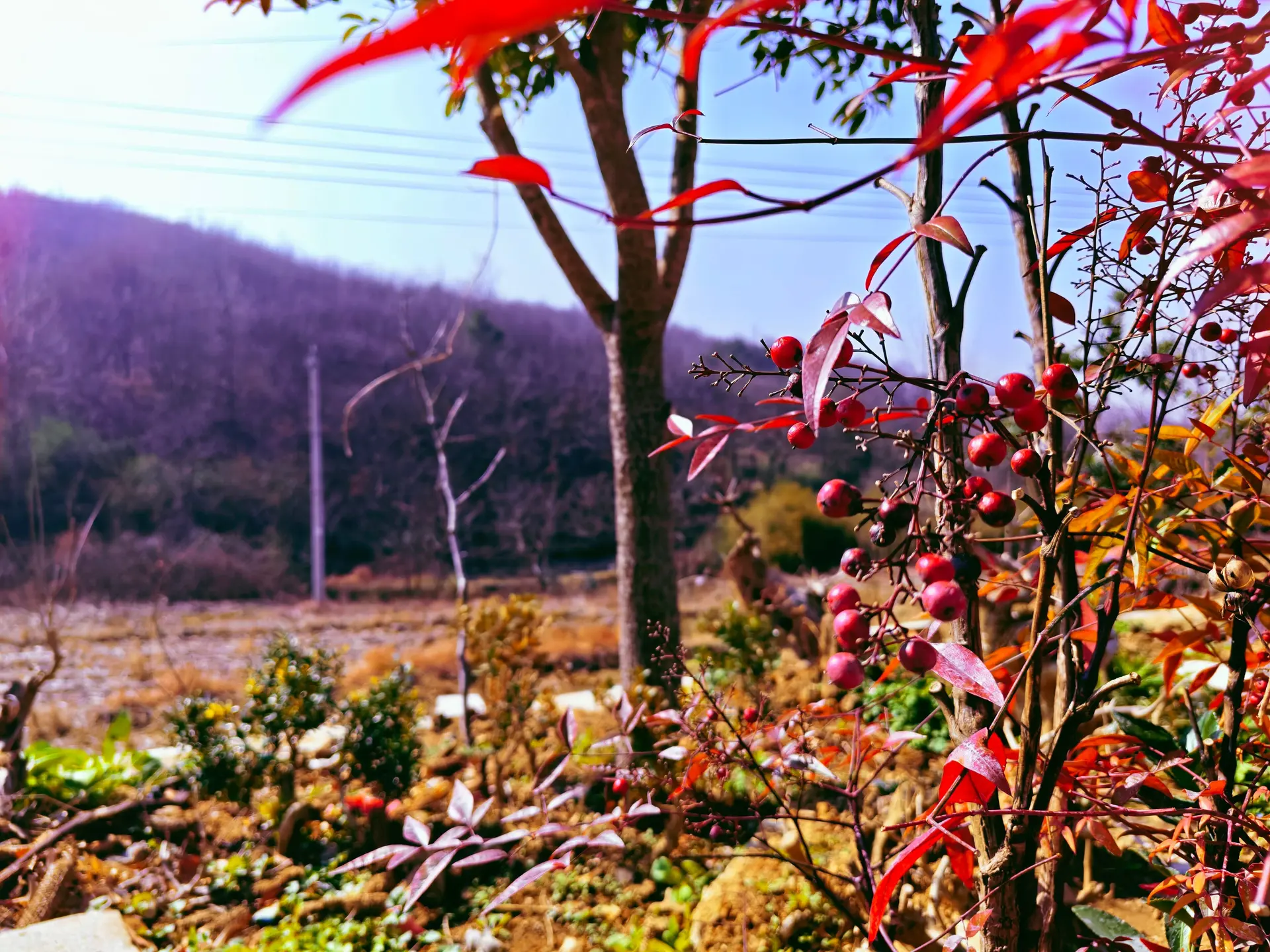 IMG_20260220_110538_edit_42743