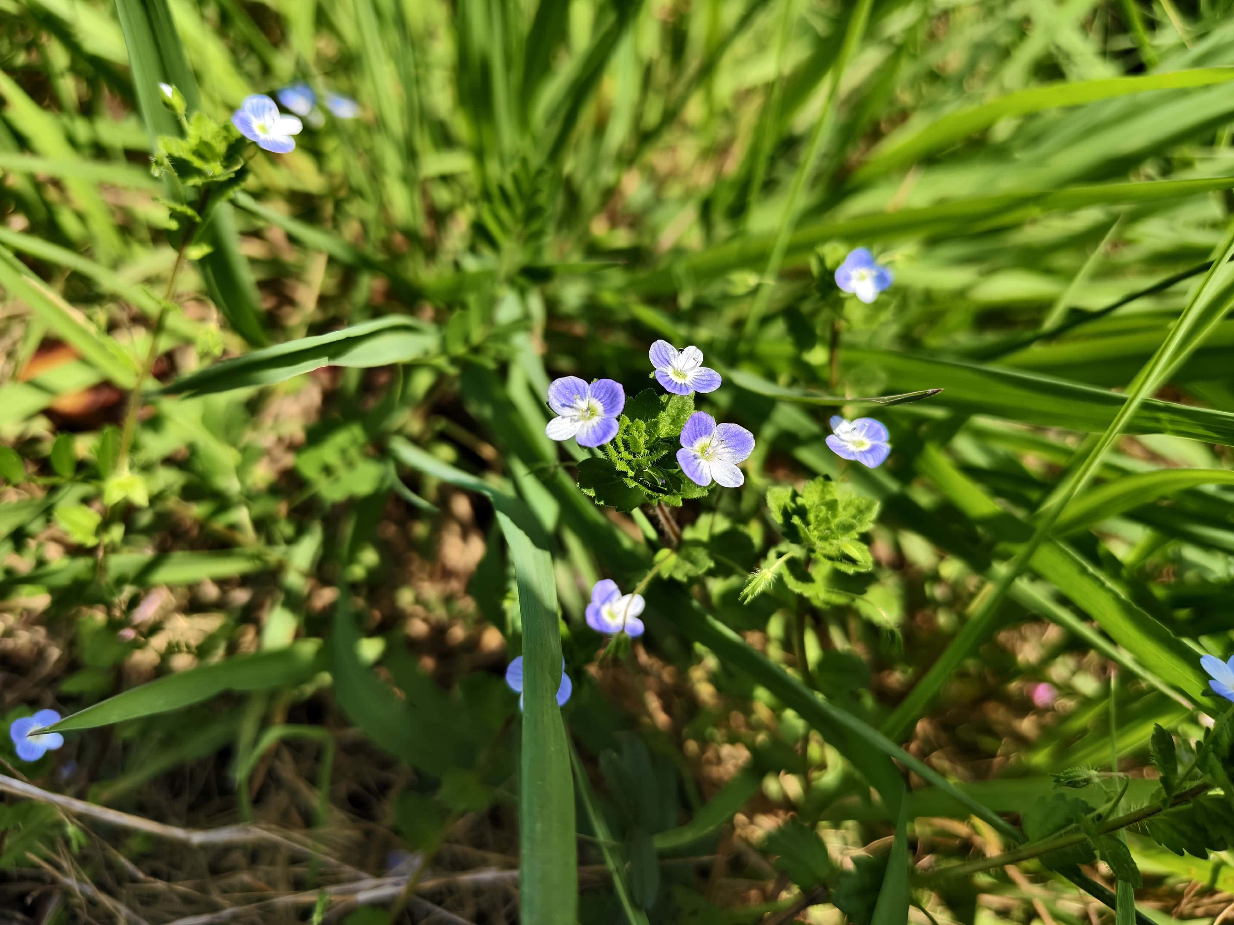 IMG_20260328_133132