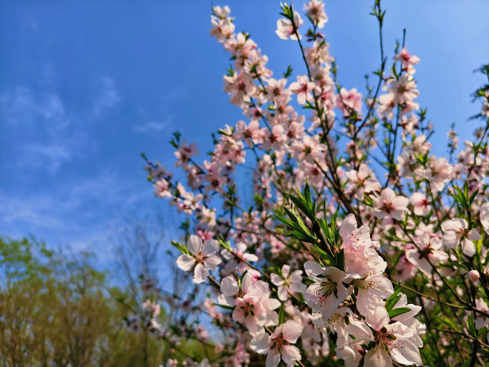 IMG_20260328_140653
