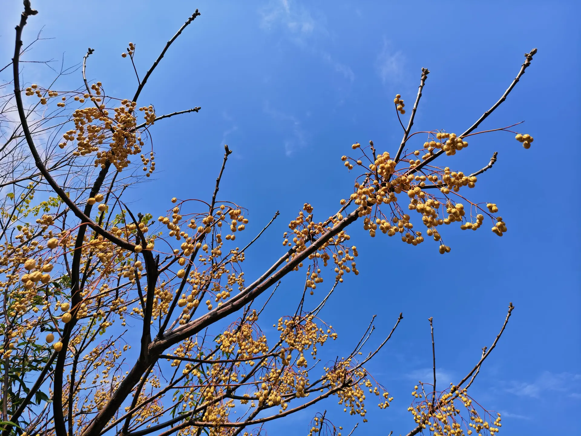 IMG_20260328_142641