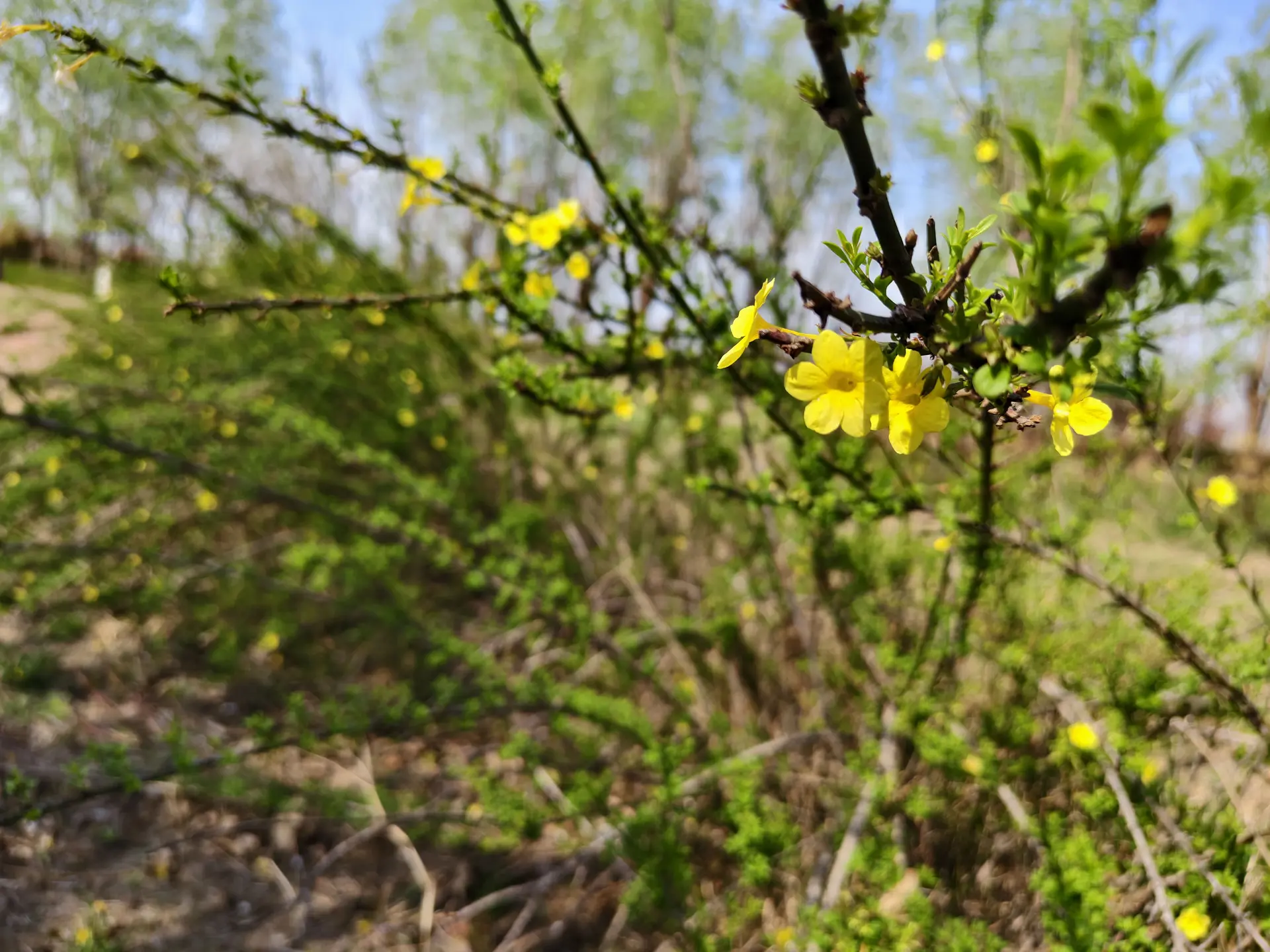 IMG_20260328_144640