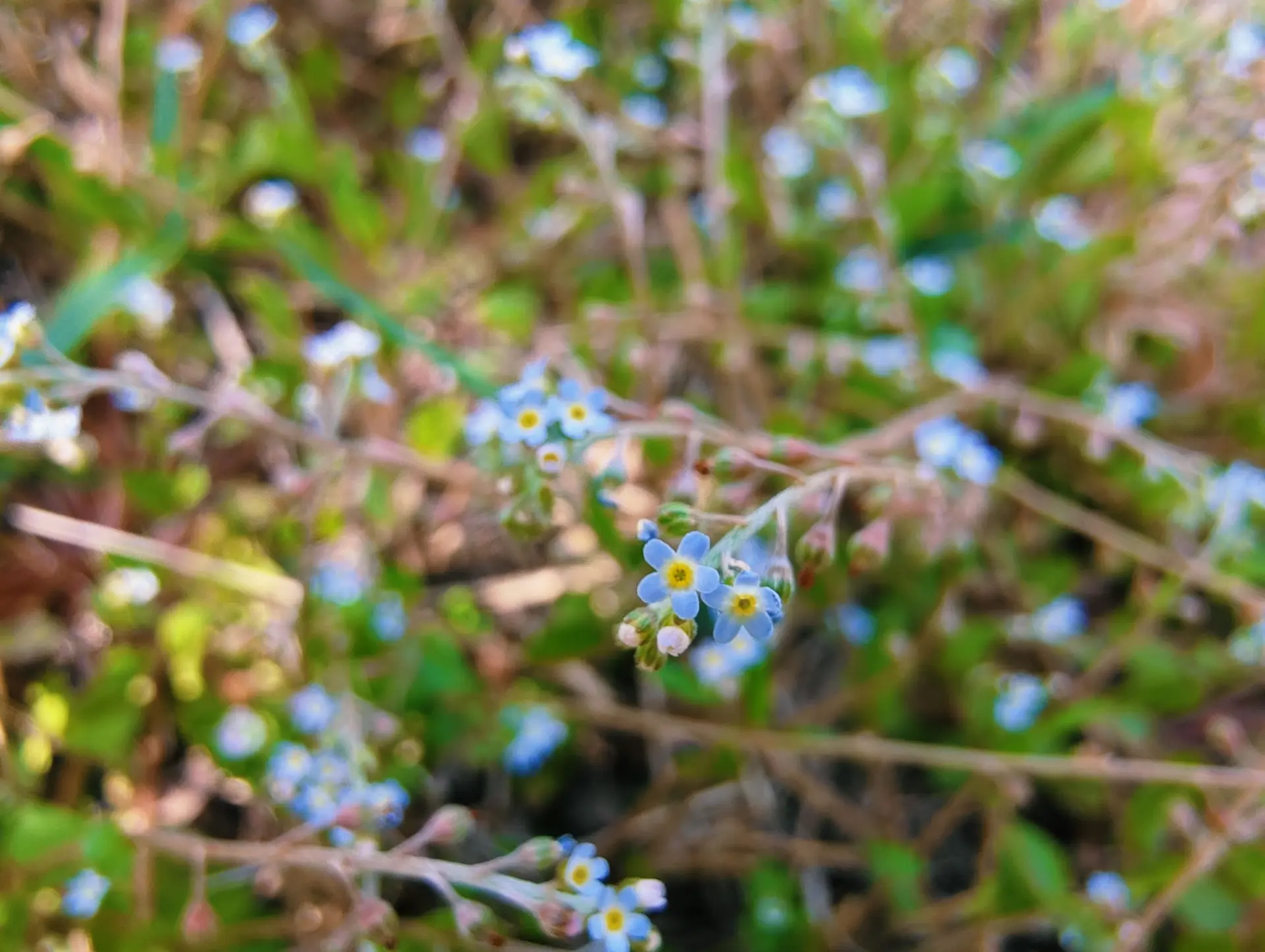IMG_20260328_145055