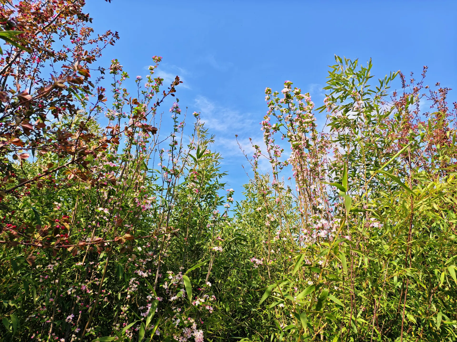 IMG_20260328_145341