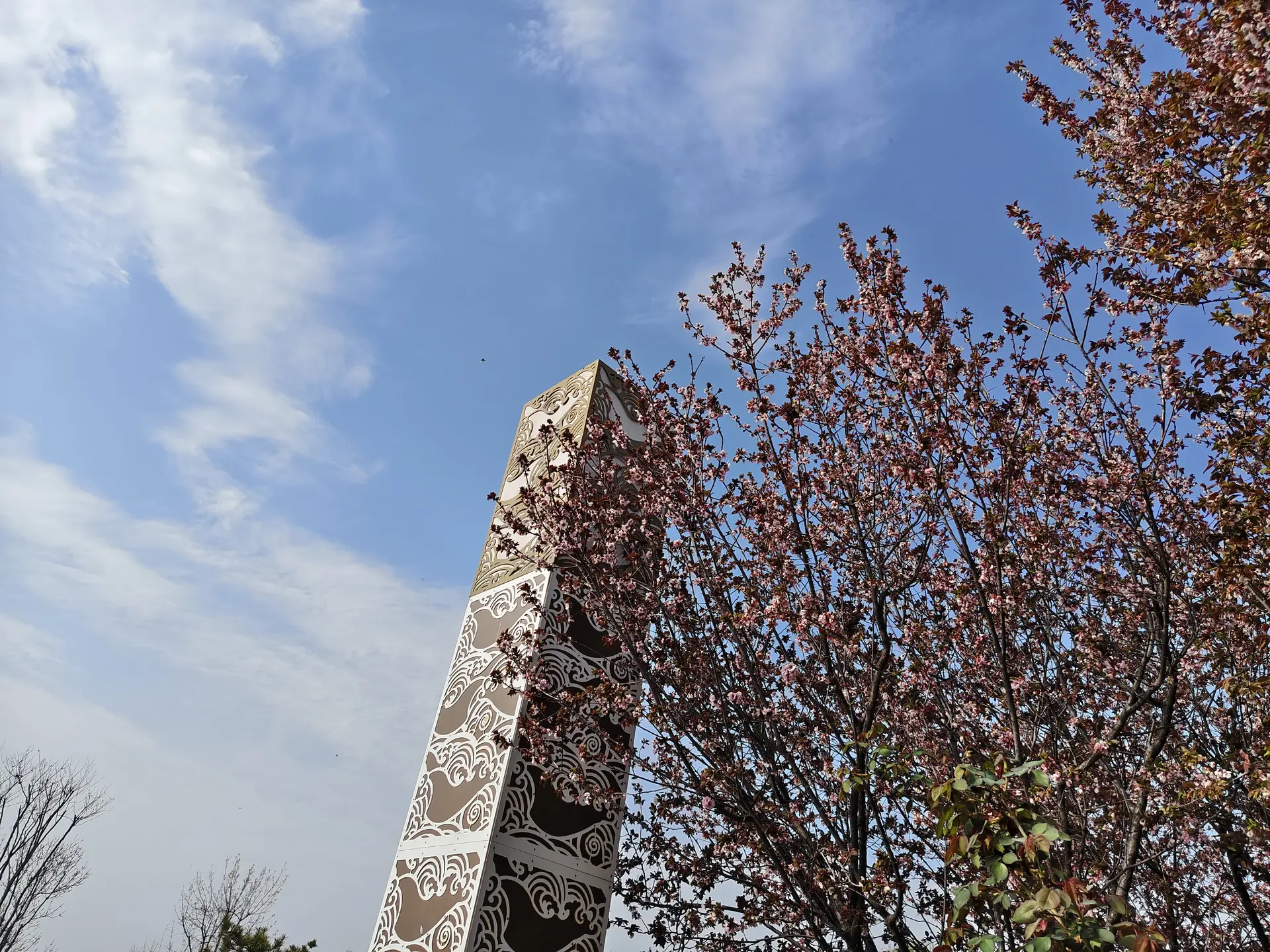 IMG_20260328_154034