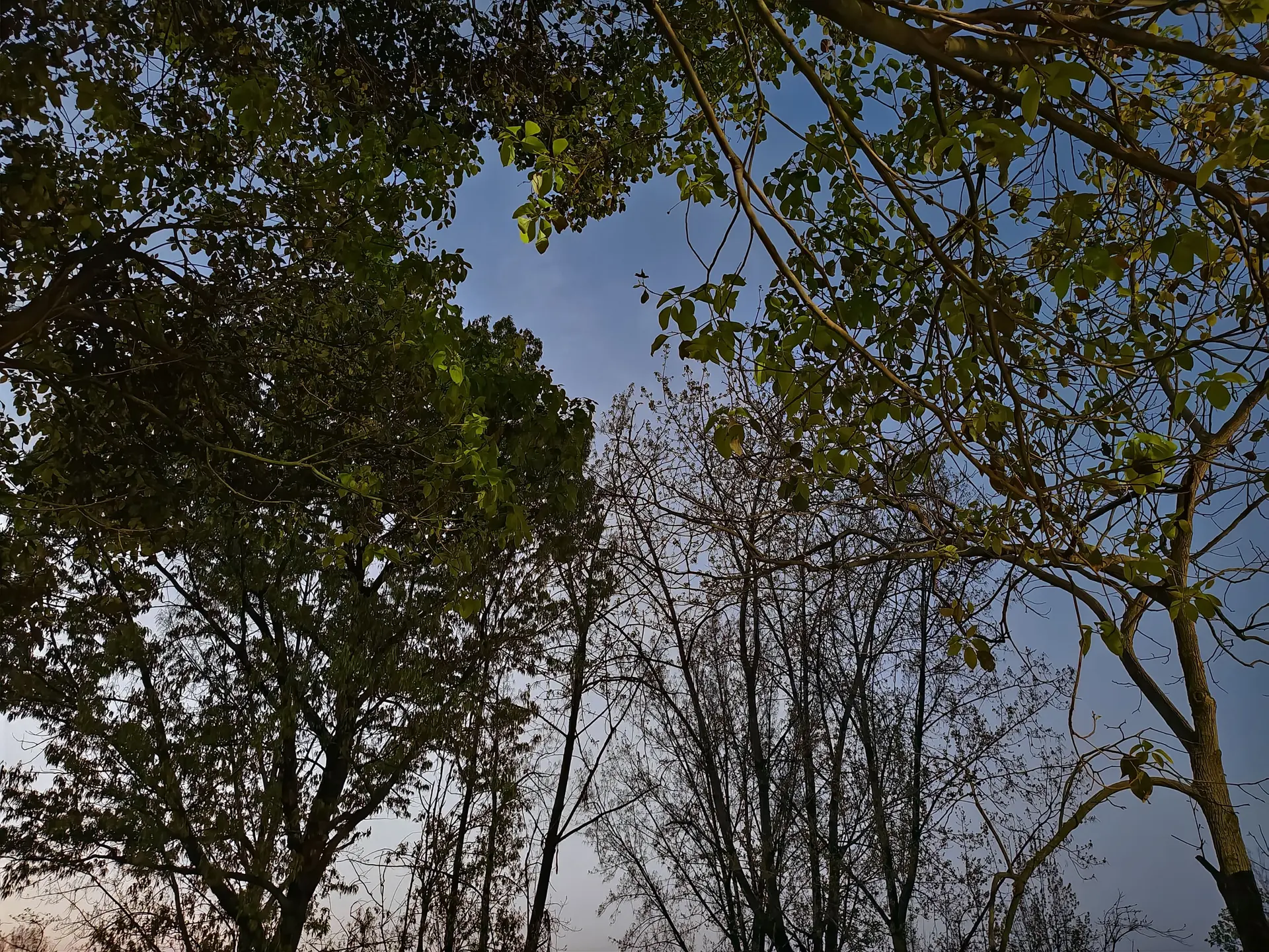 IMG_20260403_191118
