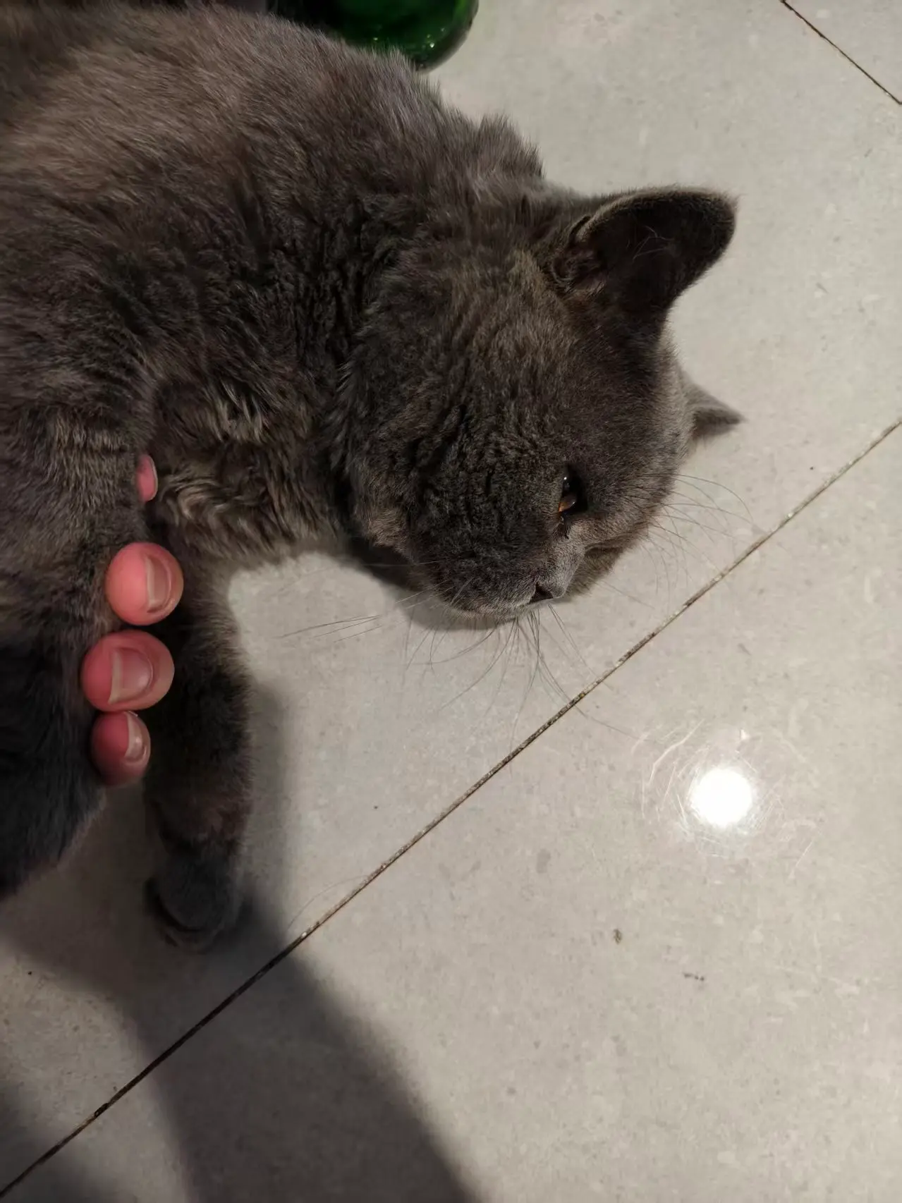 微信图片_20260717104118_29_39