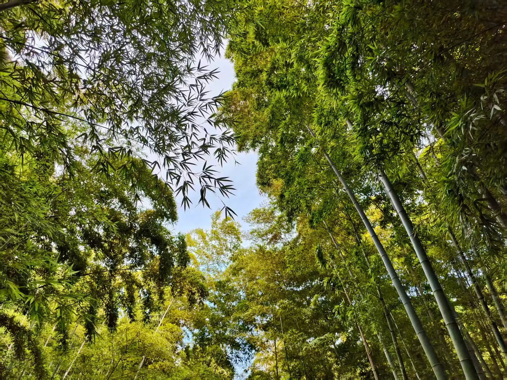 image-20260902205836052