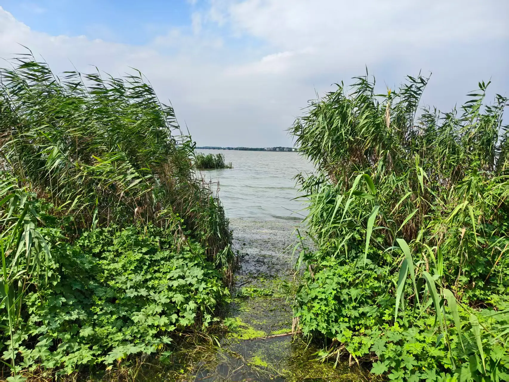 image-20260902220559067
