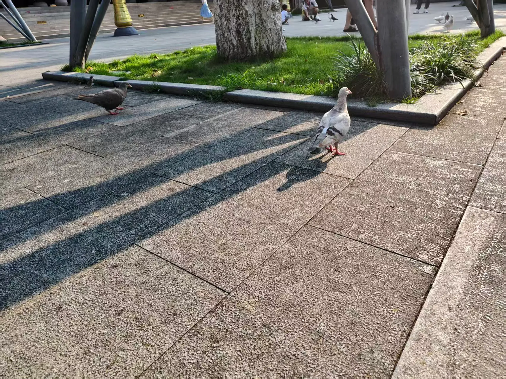 image-20260902221748738
