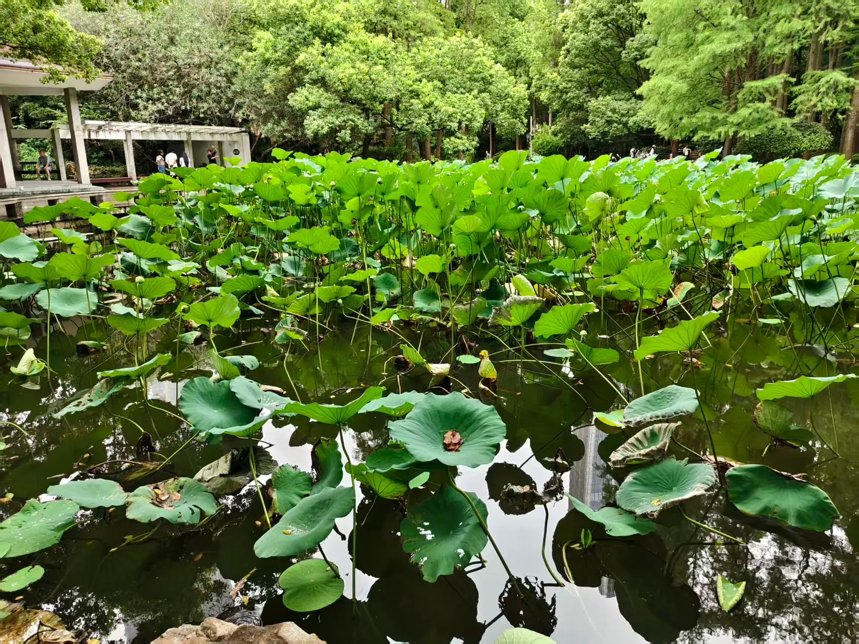 image-20260903012922630