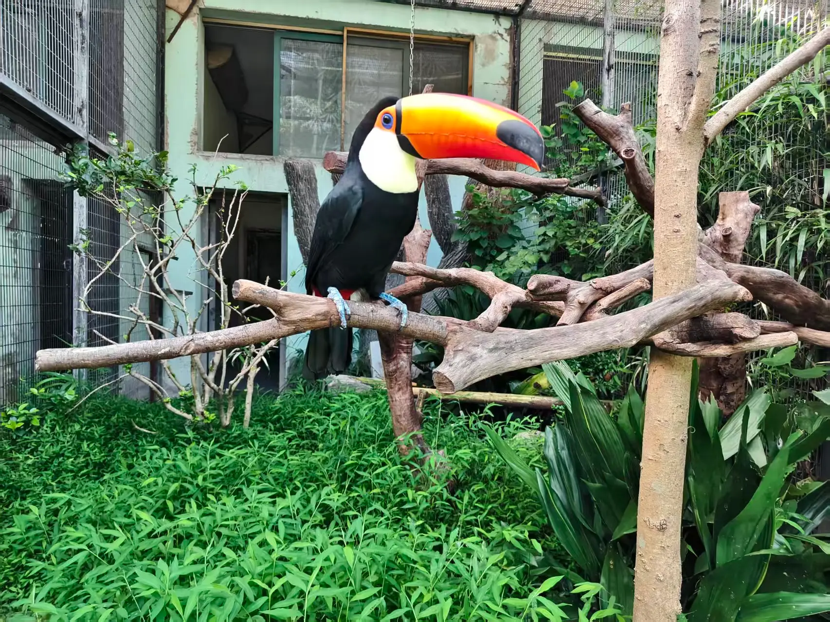 image-20260903020443040